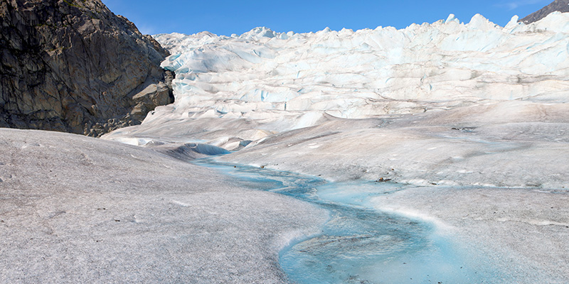 Navigating the Anthropocene